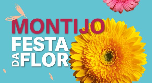 festa_da_flor_2024_evento
