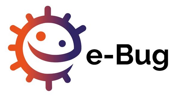 projeto_e_bug_1024x350_1_2500_2500