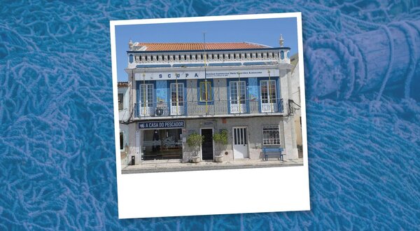 scupa_1024x350_1_2500_2500__1_