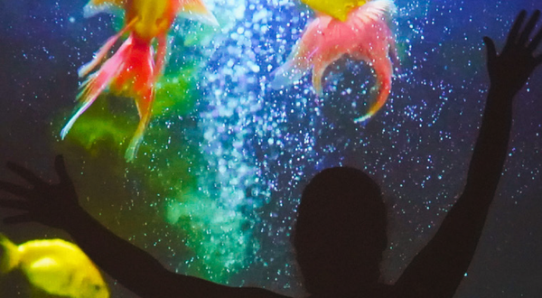 anos22002_1_2500_2500