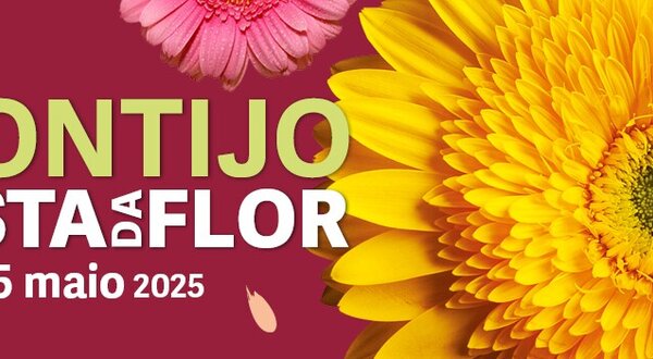 festa_da_flor_2025_1024x350