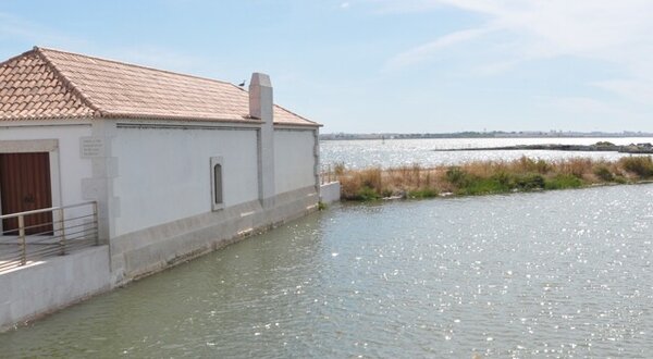 003_banner_1024x350px_moinho_de_mare