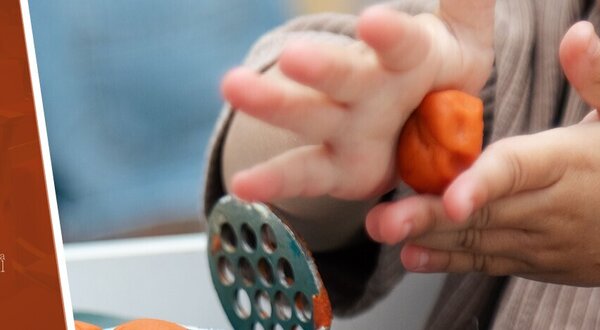 banner_1024x350px__pequenos_ativistas_artur_e_o_lince_10_mai_2025