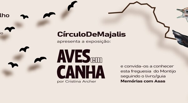 site_horizontal_1024x350px_aves_em_canha_exposicao_cristina_archer