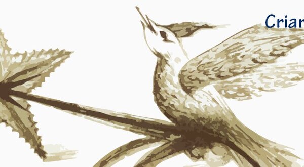 criartividades_na_galeria_18_out_1024x350