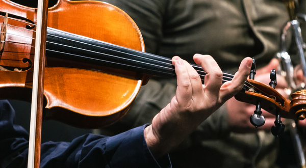 cmm_peixinho1_1_2500_2500