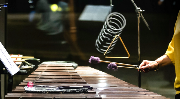 cmm_peixinhoomestre1_1_2500_2500