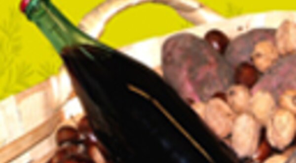 129x96pxcastanhassaomartinho