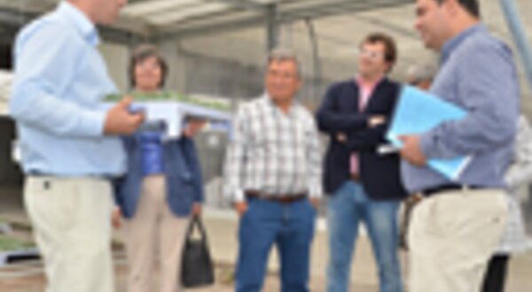 visitasantoisidro_destaques