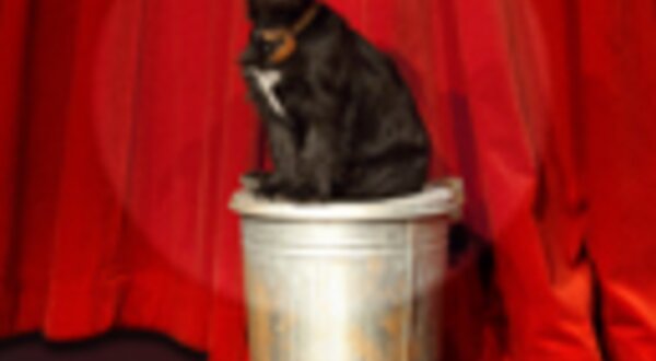 coracoesemfesta_destaques