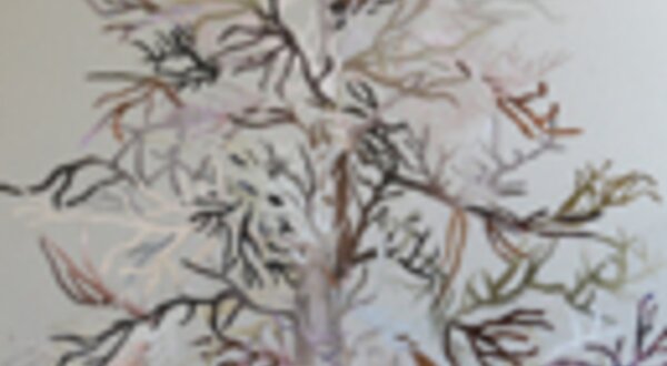 editecoelho_destaques