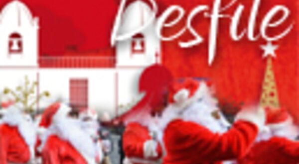 129x96desfilesolidario