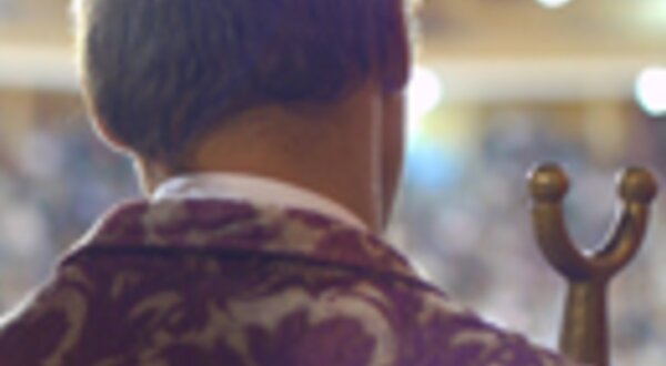 96x129px29novembrocaraacaraeatourada