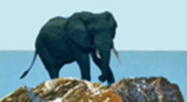 96x129px21novembrobyheart