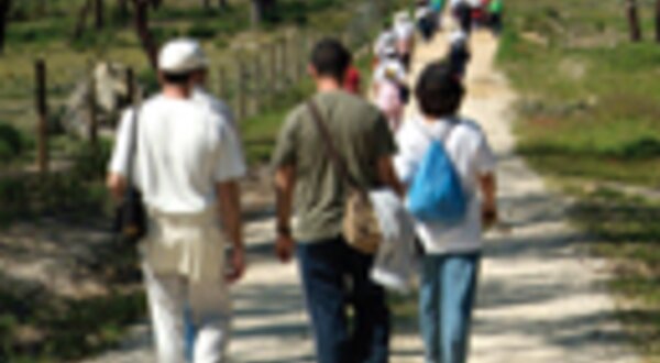 96x129pxpasseiopedestrerotastoisidropegoes