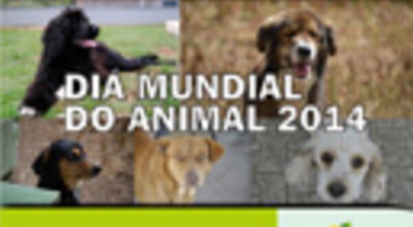 129x96diamundialanimal