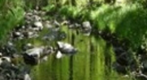 129x96limpezalinhasagua