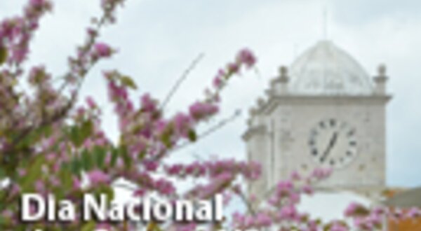 dianacionaldoscentroshistoricos_129x96