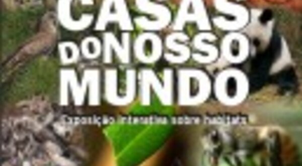 casasdonossomundobanner
