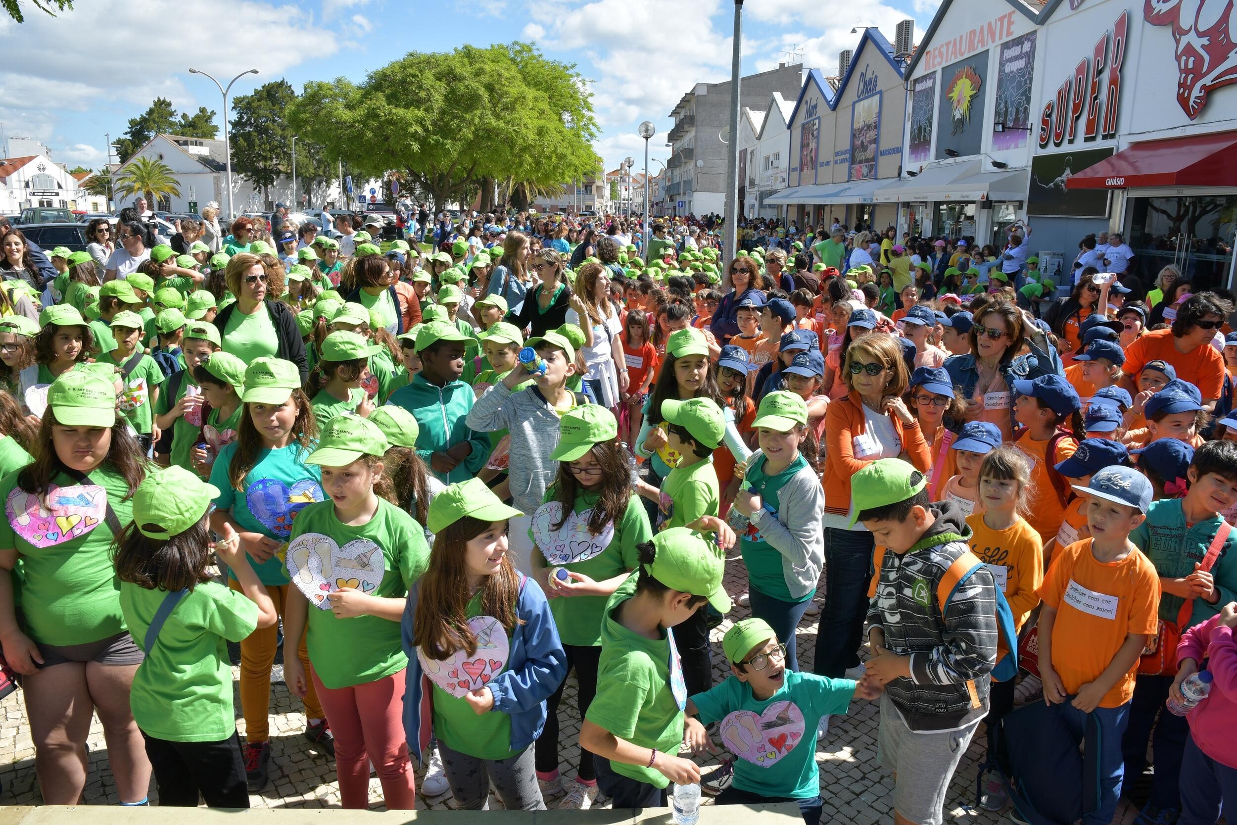 caminhar_com_cor__2_