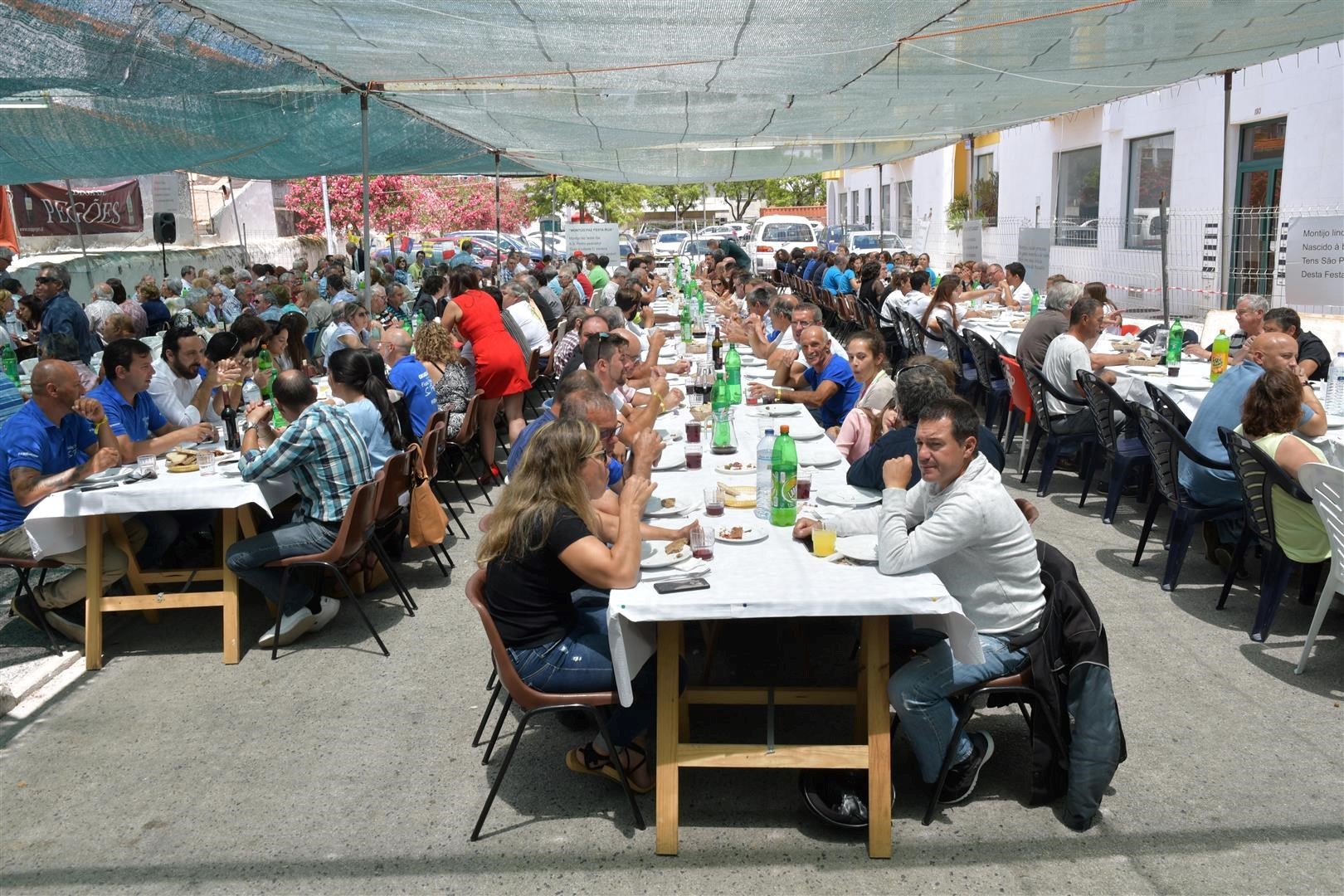 almo_o_s_pedro__Large_