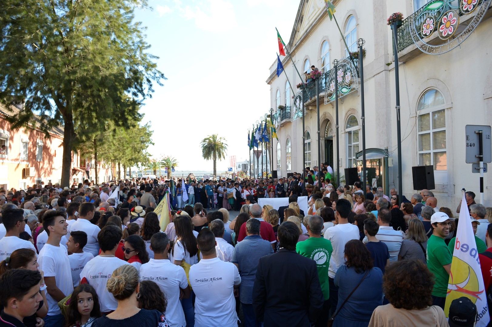 apresenta__o_festas__Large_