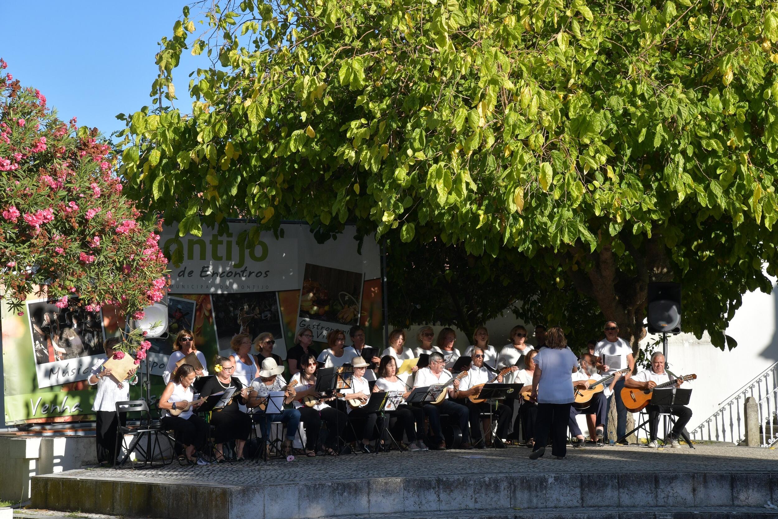 rececao_comunidade_educativa_agrup_montijo__1_