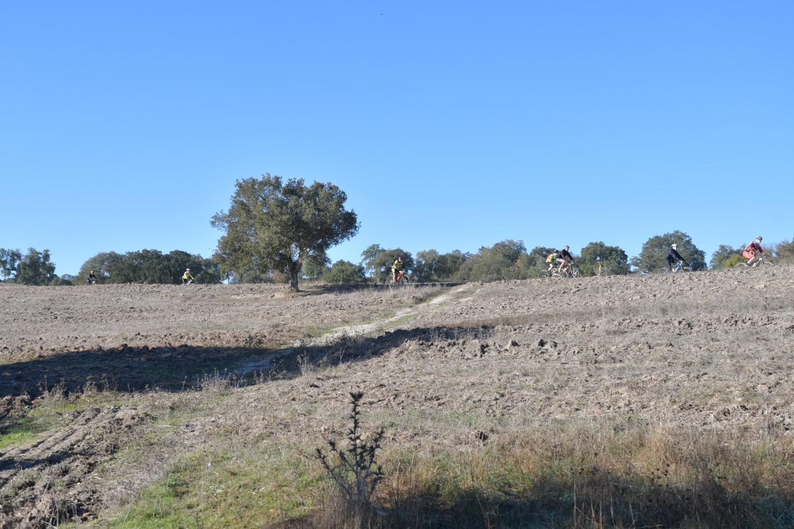 maratona_btt_canha_2017__5___Large_