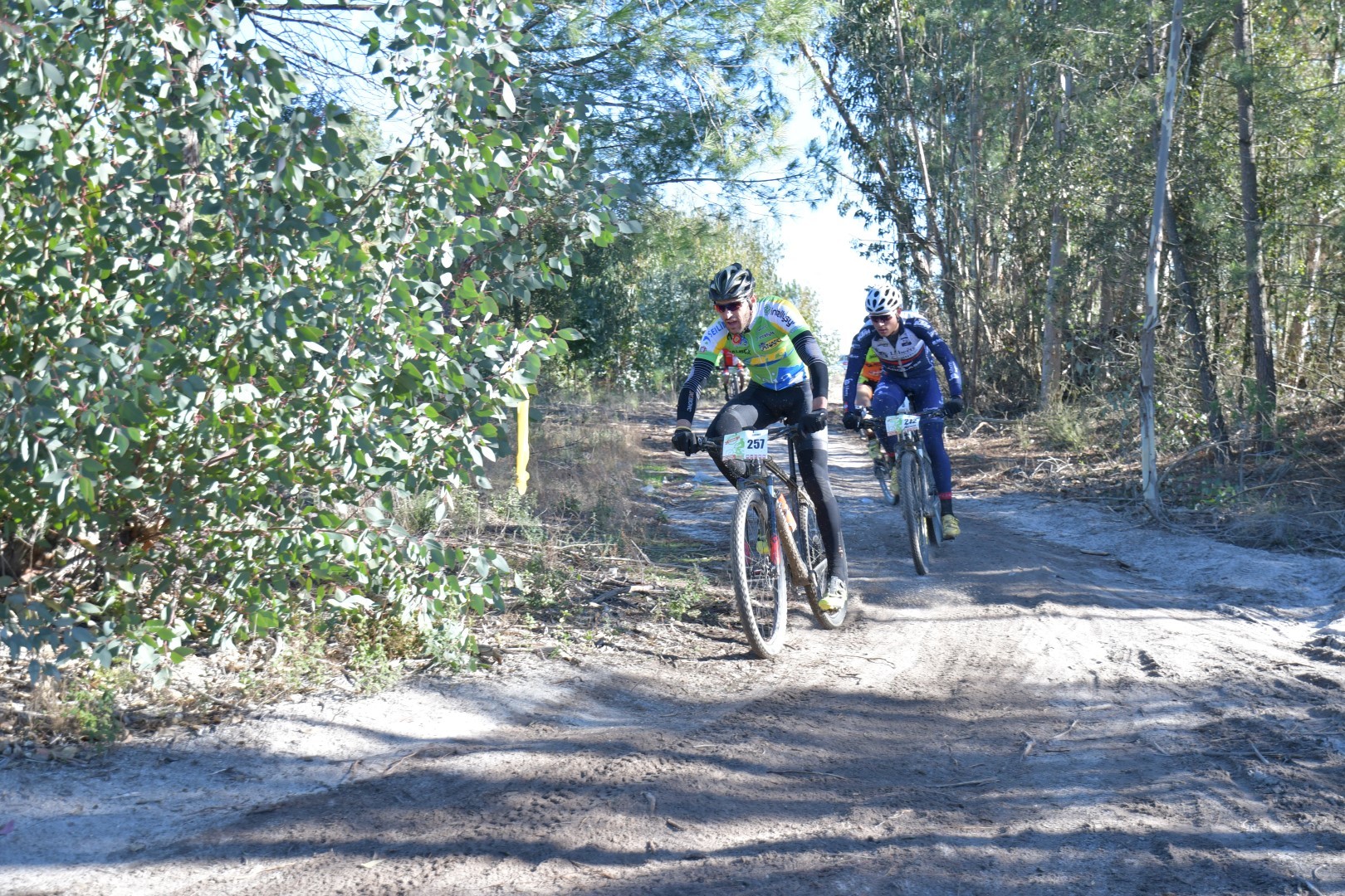 maratona_btt_canha_2017__9___Large_