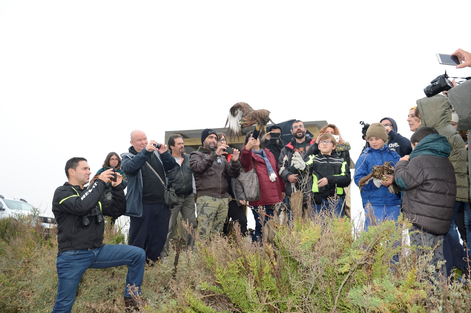 observatorio_aves__3_