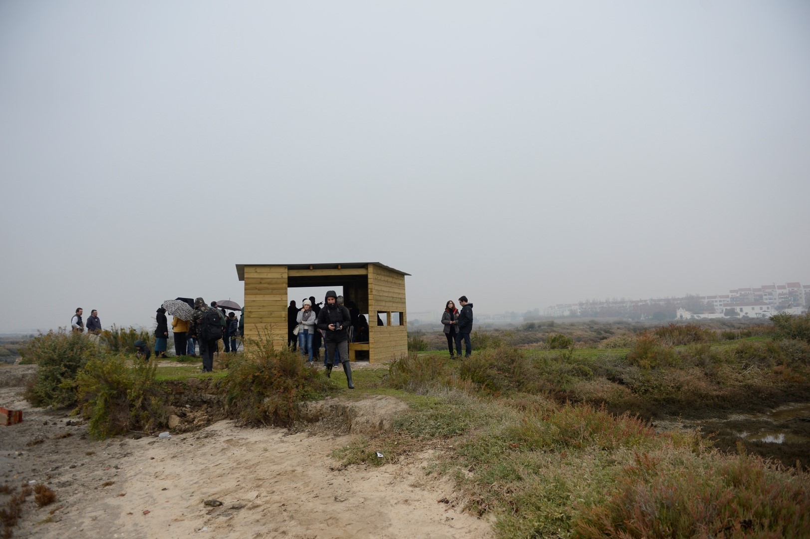 observatorio_aves__1_