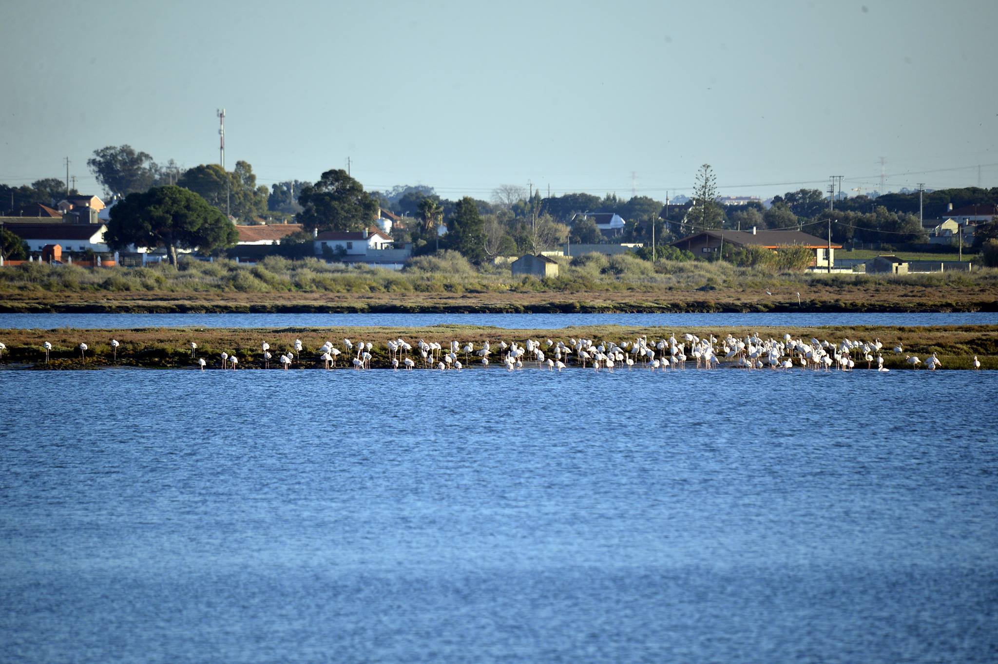 convivio_natal_VEM_2