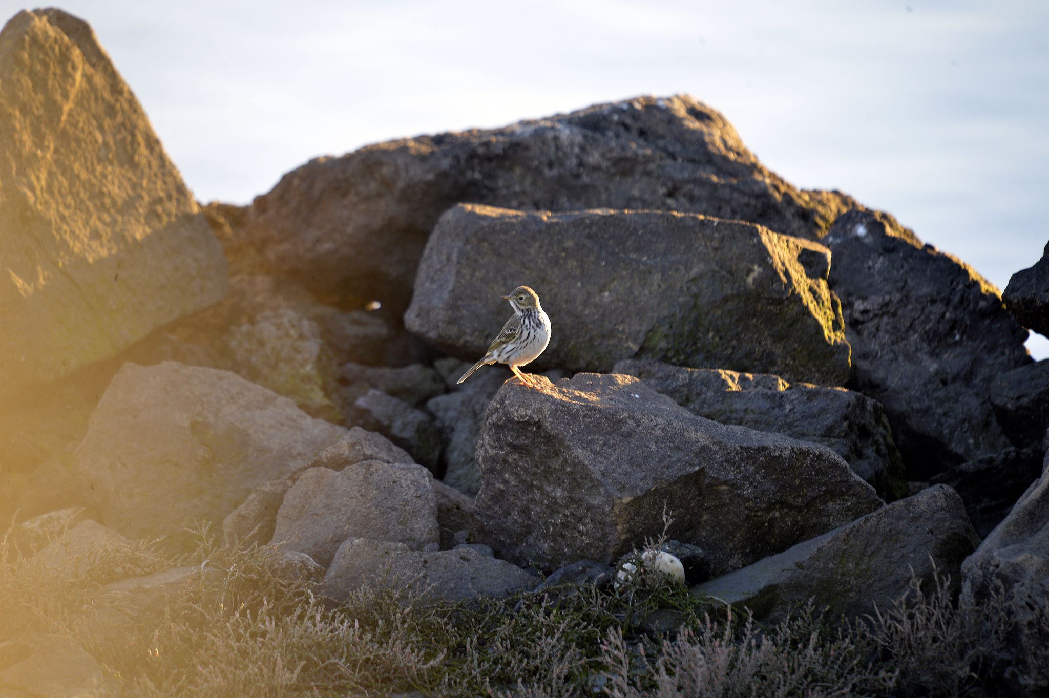 convivio_natal_VEM_3