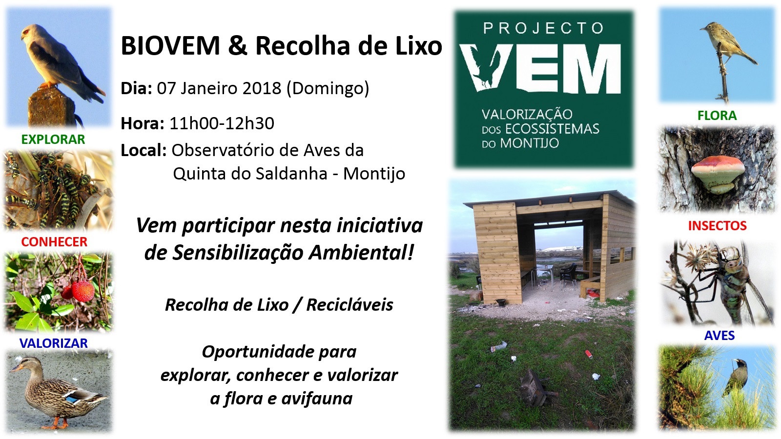 Recolha_de_Lixo_no_Observat_rio_da_Quinta_do_Saldanha