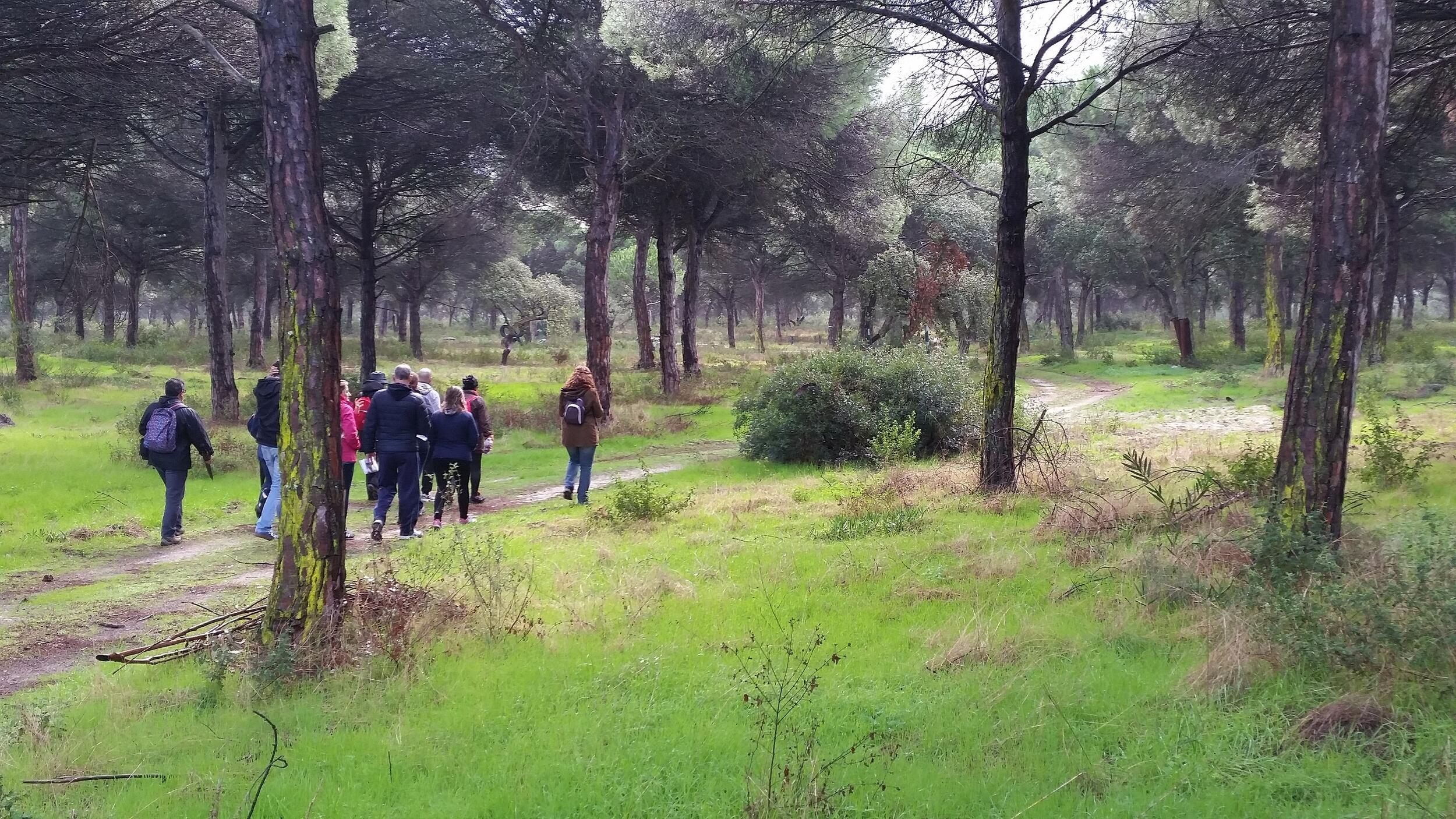 BIOVEM_-_Caminhada_1