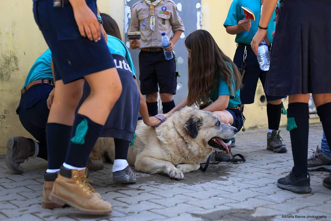 fb_img_1539873250245