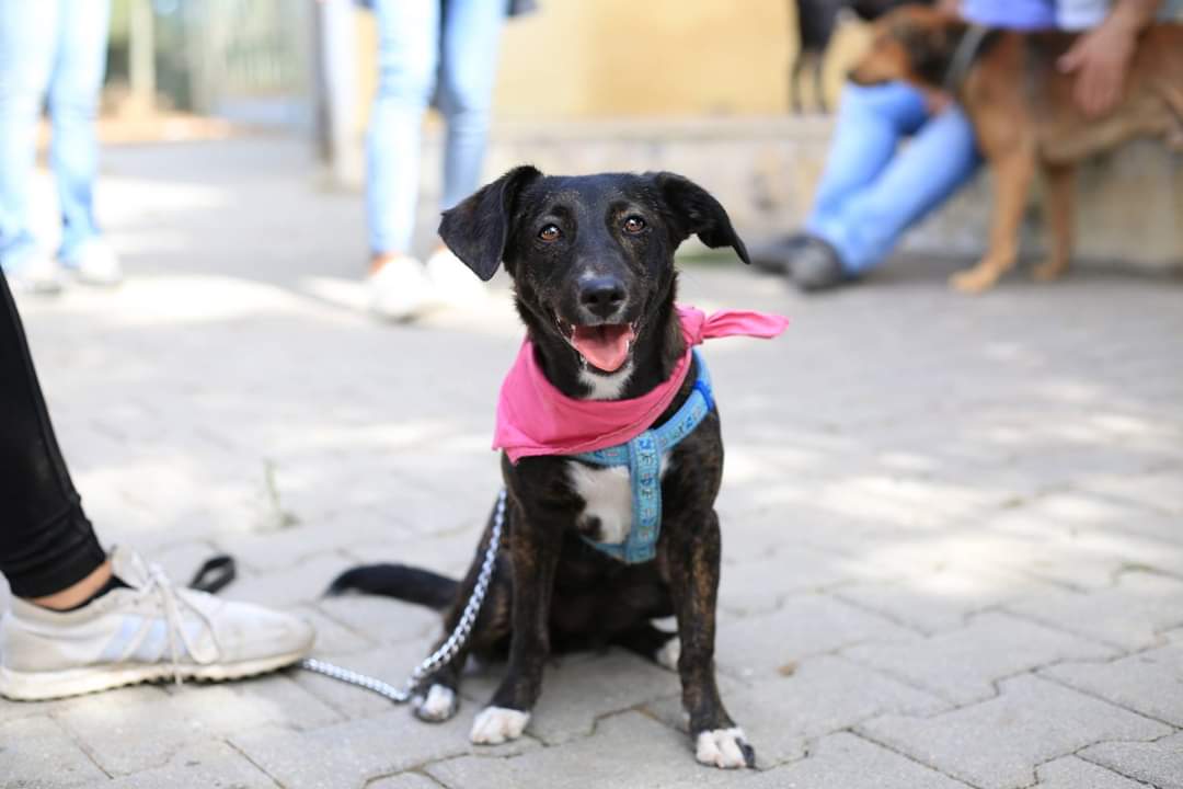 fb_img_1539873188984