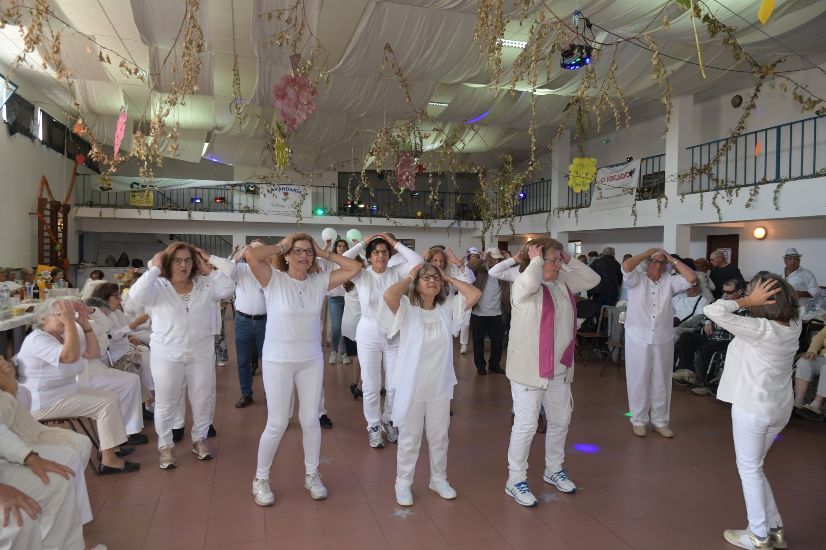 dsc_1280__large____copia