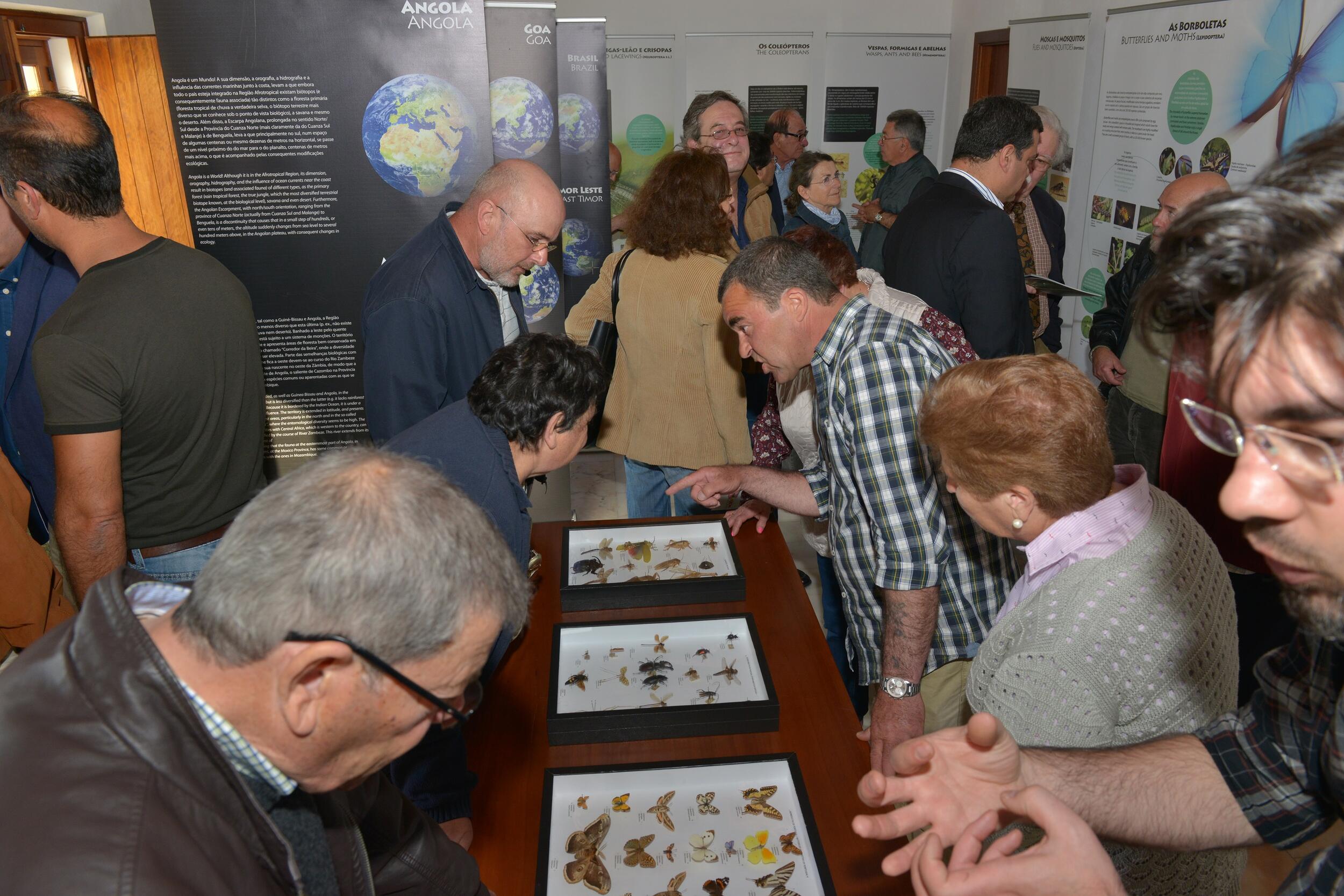 exposicao_mundo_de_insetos__1_