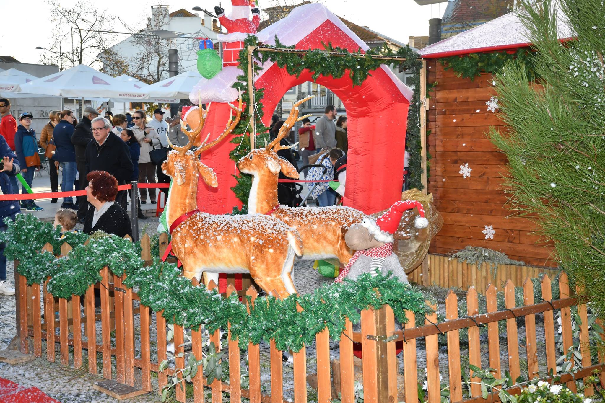 47689071_2301685529876835_9017174732897779712_n