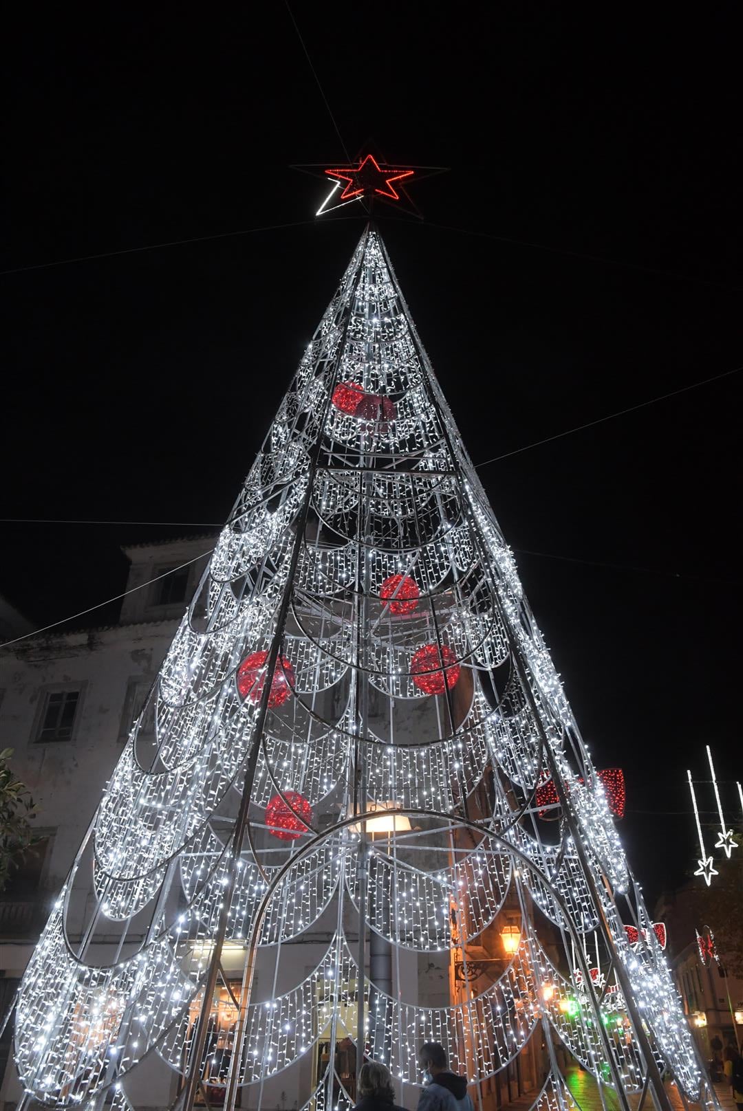 127529441_3908192452559460_4101200381850122255_n