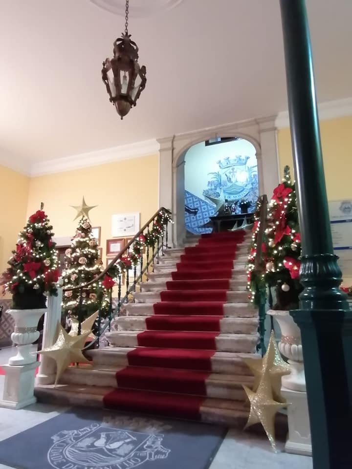 127777478_3905845136127525_1119221932326337023_n__1_