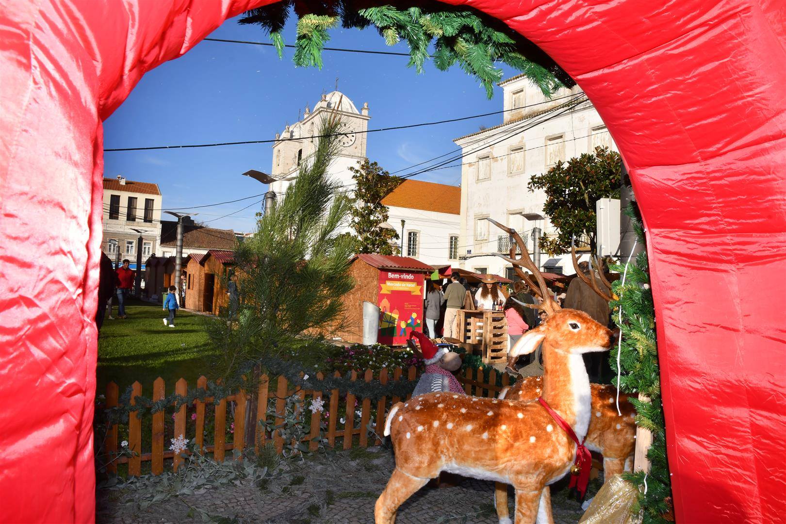 48415557_2301689543209767_6327666796258131968_n