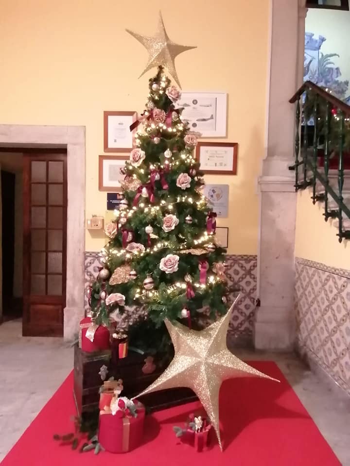 127889077_3905845232794182_2625594022455732049_n