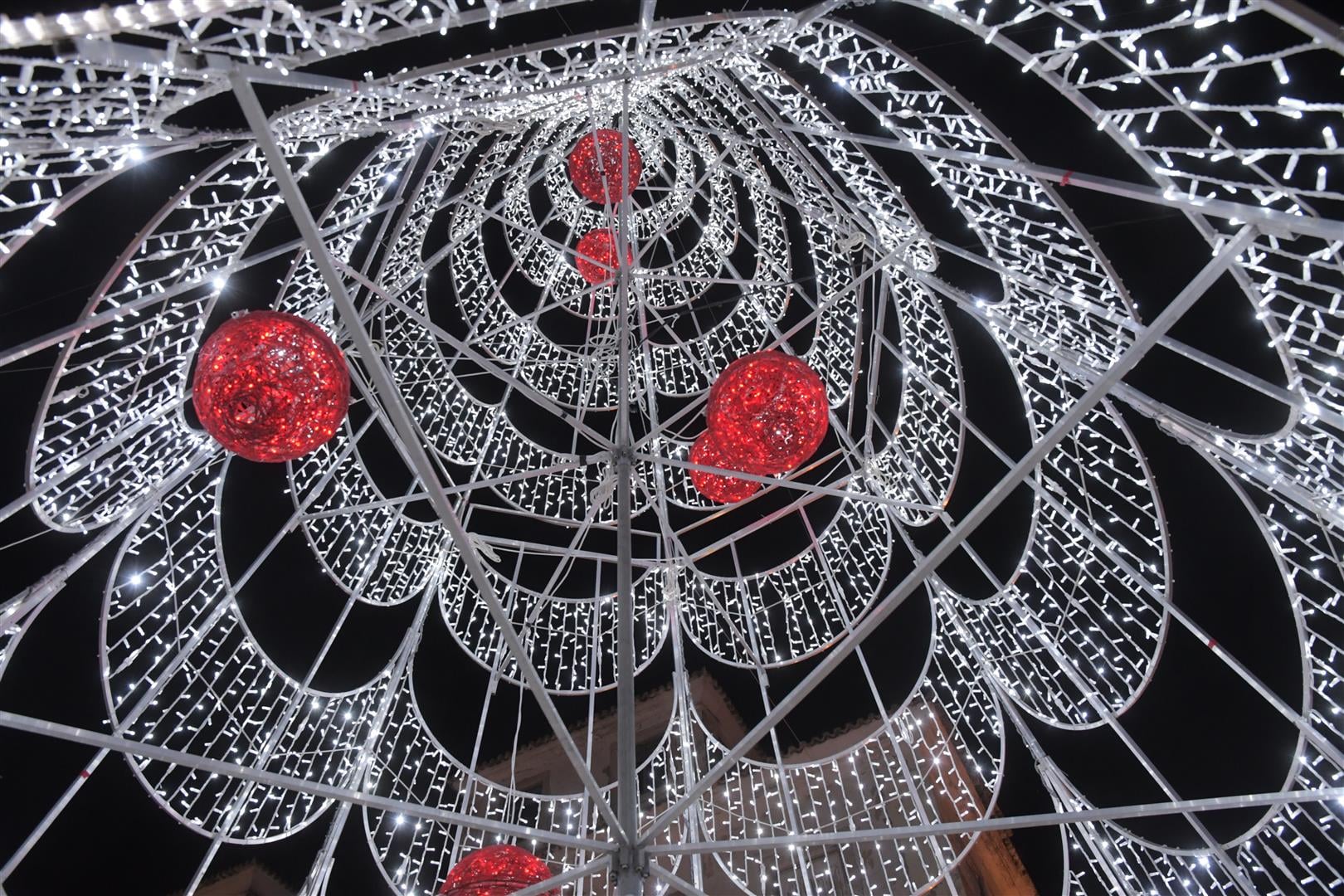 127988522_3908192612559444_5765521237501136777_n