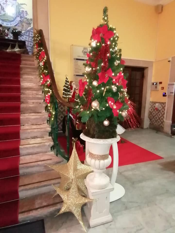 127995411_3905845589460813_8725684116955850009_n