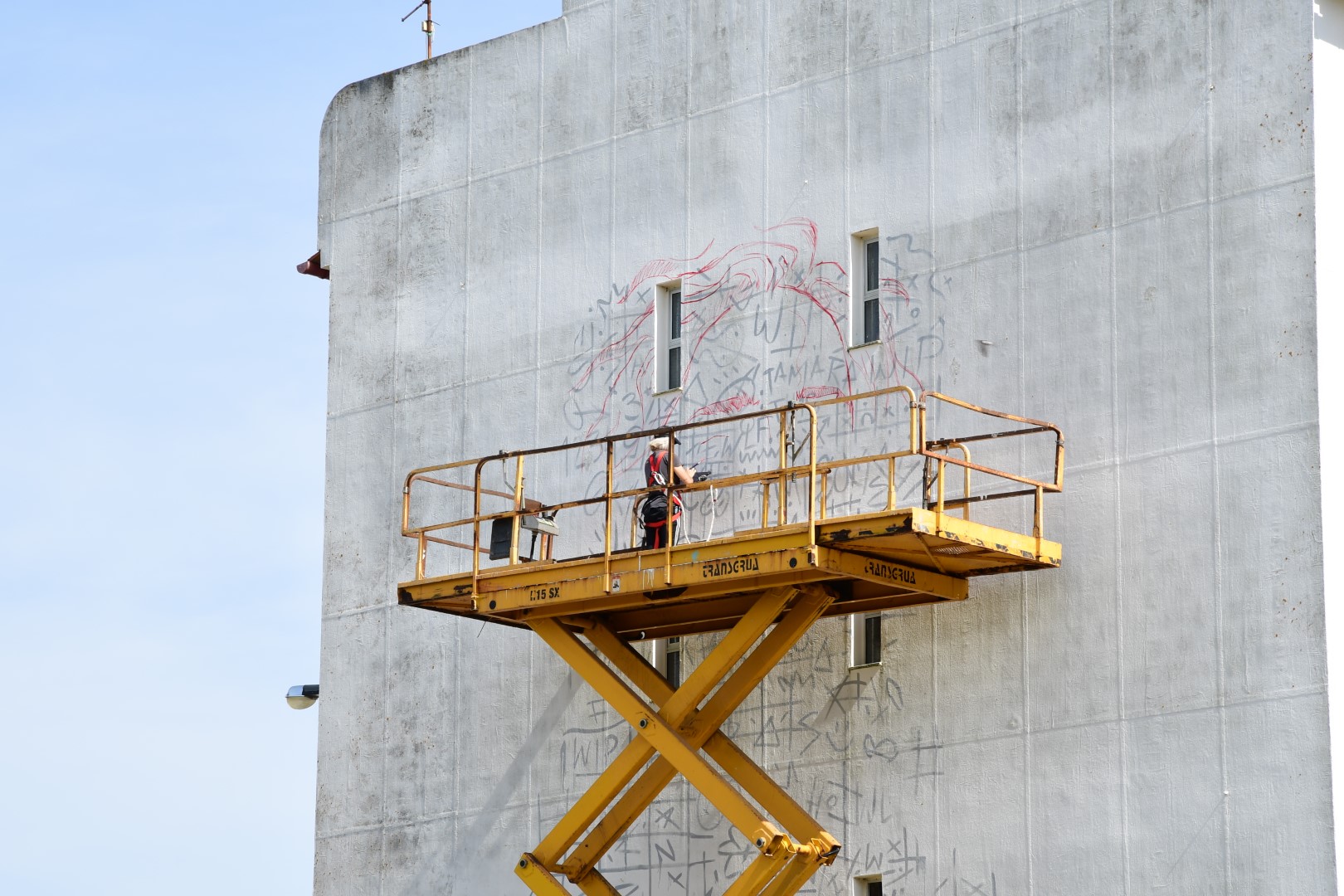 mural_we_are_the_flowers_6