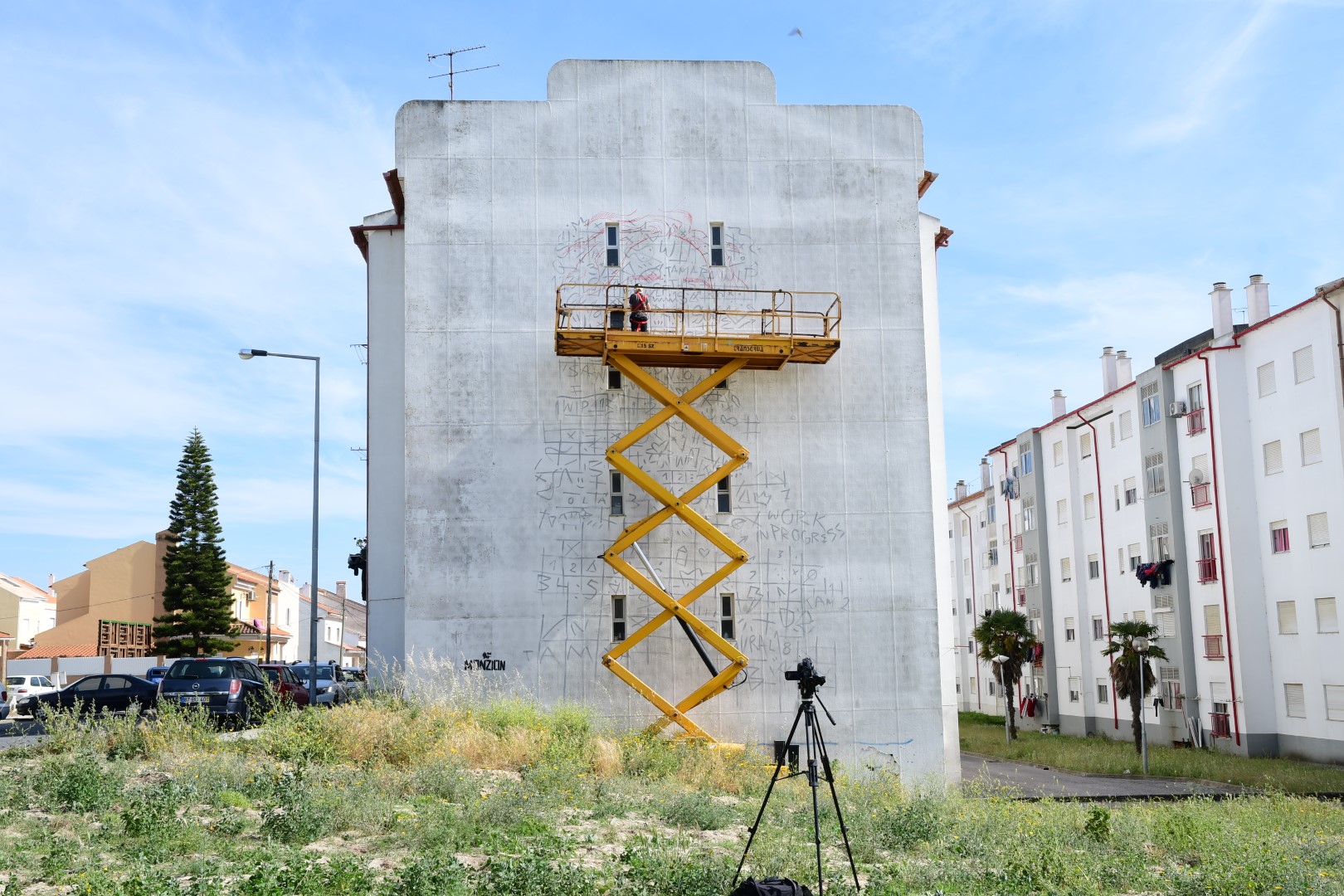 mural_we_are_the_flowers_5