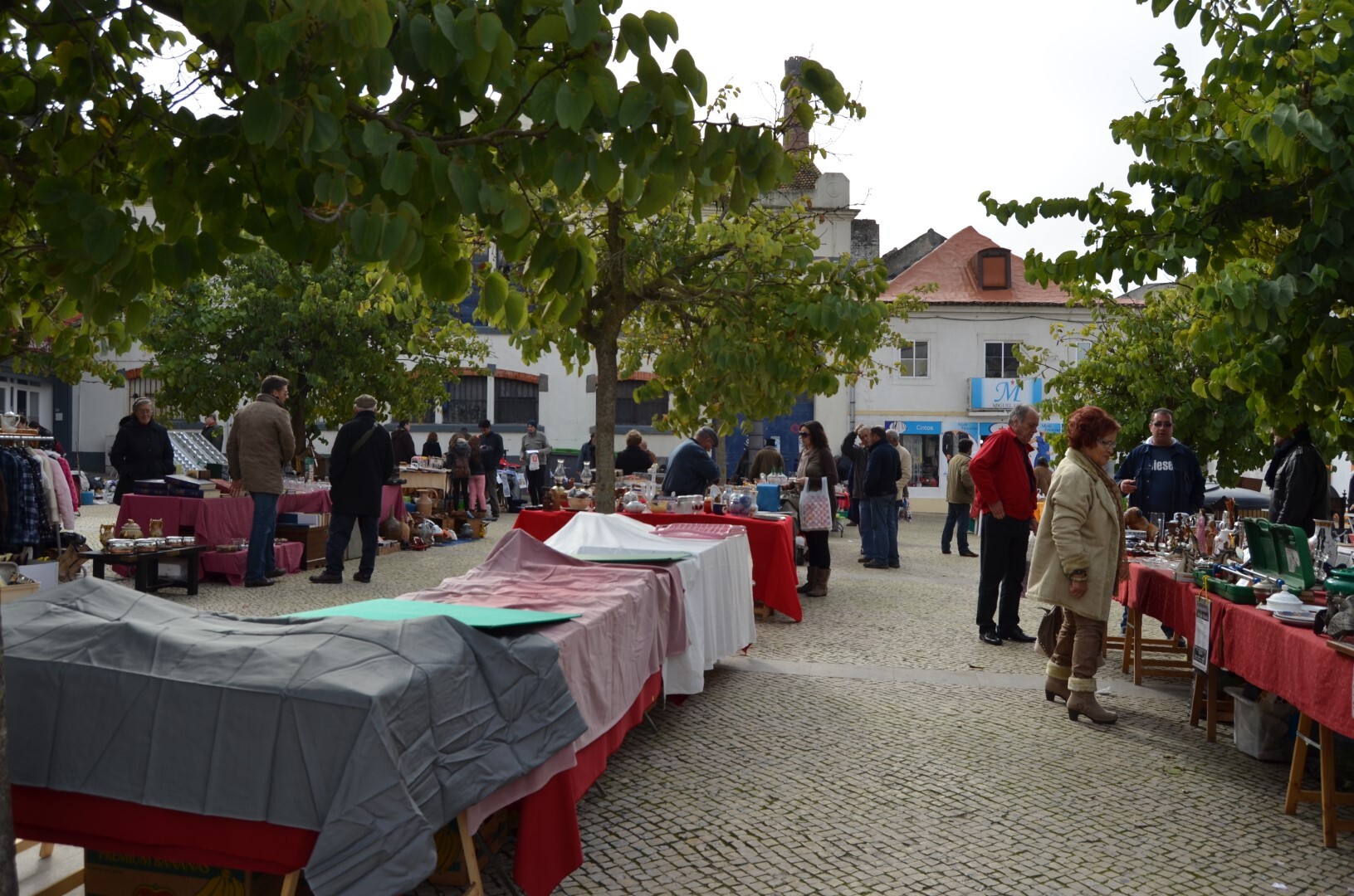 montijo_vida_022__large_