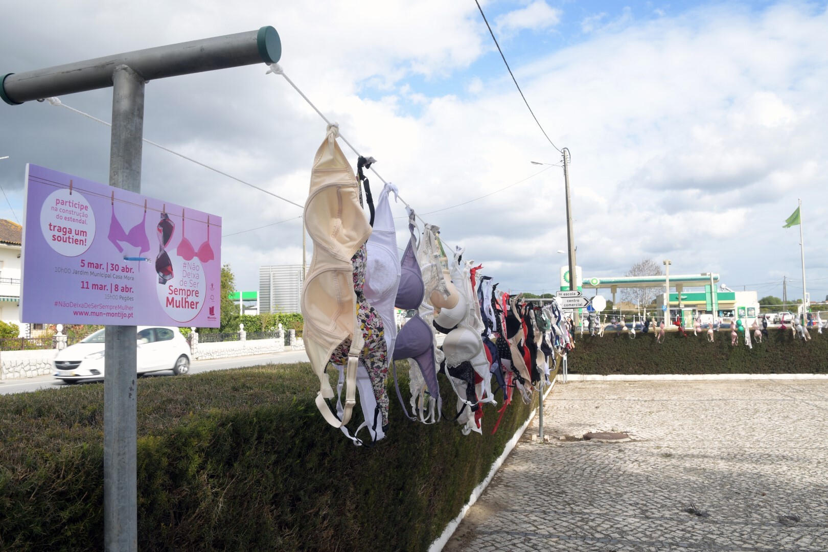 estendal_de_soutiens___pegoes___11_3_2022__3_